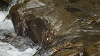 camp26 (304)_thumb.png